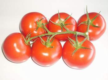 Składniki: pomidory 